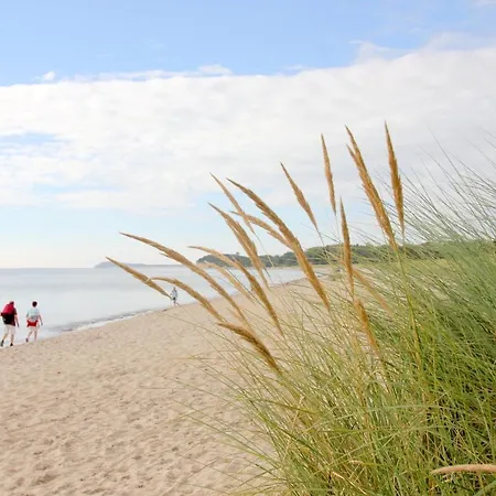 Ferienhaus Zaunkoenig Ferienwohnung Eg Lejlighed Groß Zicker