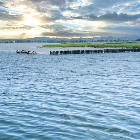 Lejlighed Ferienhaus Zaunkoenig Ferienwohnung Eg Groß Zicker